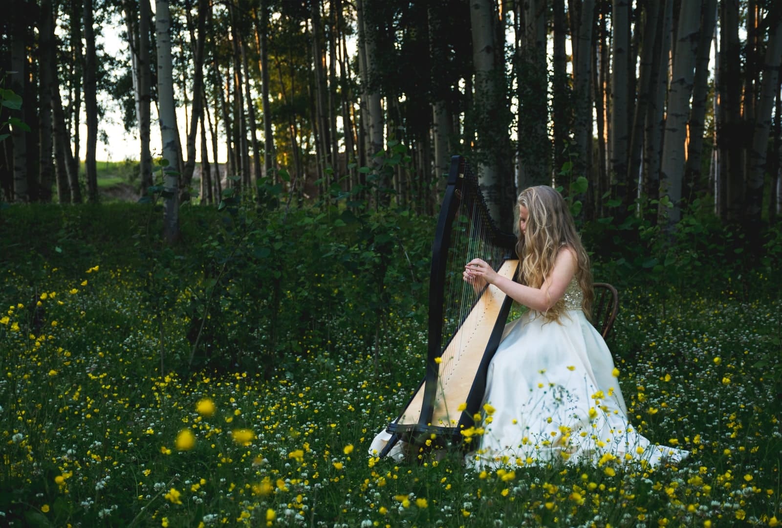 Танцующий лес Калининград где