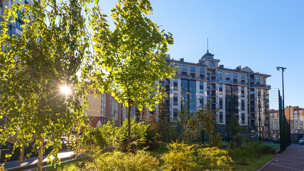 Фото анонса